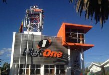NetOne CEO sacked
