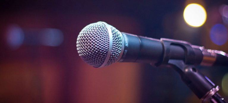 Diaspora-based artist sings on Zim problems