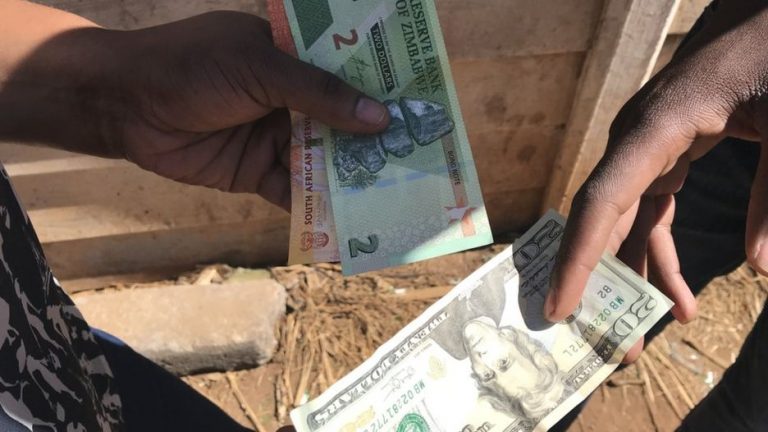 Zimbabwe introduces RTGS dollar to solve currency problem