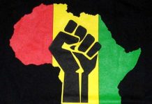 ‘We need a United States of Africa’ – Mutambara