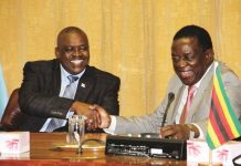 Botswana credit line to Zimbabwe unpacked