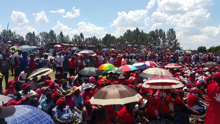 Ncube donates 10 beasts for MDC congress