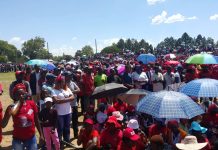 MDC trashes Midlands peace committee
