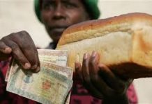 Zimbabwe: Bakers Fret Over Bread Syndicates