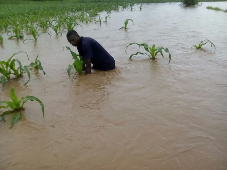 WATCH: Chiredzi Town Under Water After Heavy Rains Cause Flooding
