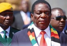 Zim considers wage and price freeze as workers go on strike