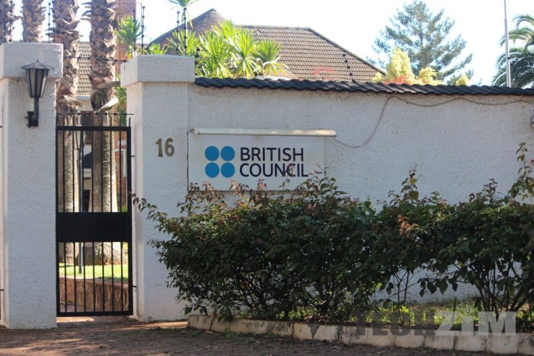 Zimbabwe’s Economic Future Is Promising: Robertson