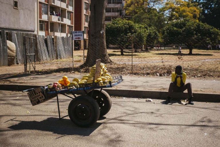 How a ‘giant Ponzi scheme’ destroyed Zimbabwe’s economy
