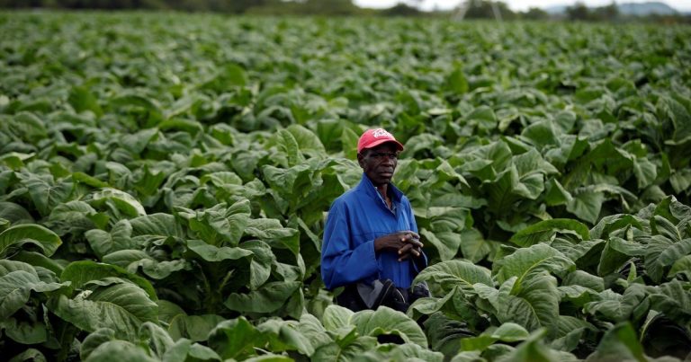 Removal Of 2% Tax From Tobacco Transactions Pays Off