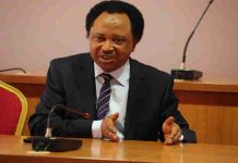 Shehu Sani reacts to Buhari’s frequent foreign trips