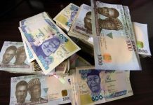 Forex Trading in Nigeria – Features & Tech Specs