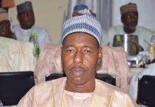 Gov Zulum hails UAE govt for convicting Boko Haram sponsors