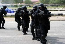 CISA Urges Nigerians to Partner with Security Agencies