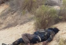 مقتل ١٢من العناصر الارهابية بطريق الواحات