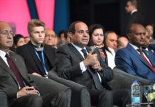 برلمانى  يشيد بدعوة  السيسي للأحزاب بالإندماج