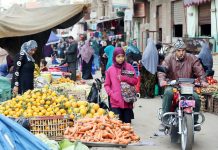 هل ستسهم المشروعات الجديدة فى خفض الاسعار ؟