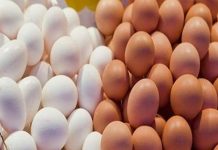 هل يوجد ” بيض صينى ” فى مصر ؟