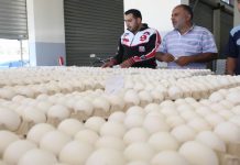 وزارة الزراعة : لانستورد بيض من “الصين “