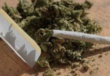 نائب برلماني يطالب الحكومة بشن حملات لمواجهة انتشار الاستروكس