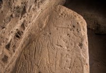 اكتشاف لوحتين من الحجر الرملي بمعبد كوم أمبو في أسوان