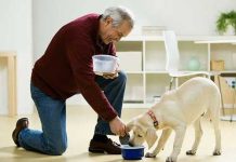 هل تربية الكلاب فى المنازل تمنع دخول ” الملائكة ” ؟