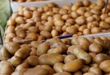 وزير الزراعة: مُهلة لأصحاب الثلاجات لضخ مخزون البطاطس بالأسواق حتى الأول من ديسمبر المقبل