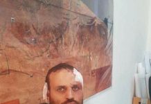 من هو هشام عشماوى ؟