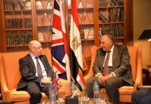 شكري ووزير الدولة البريطاني يبحثان عدد من الازمات الاقليمية
