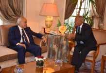 ابو الغيط يناقش مع غسان سلامة سبل حلحلة الأزمة الليبية واستكمال المسار السياسي في البلاد