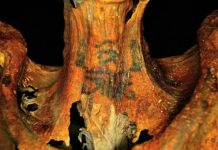 كل ما تريد ان تعرفه عن “المومياء ذات الوشم”