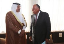 الكويت: مصر دعامة رئيسية لأمن واستقرار المنطقة