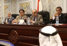 الشئون العربية بالنواب تشيد بالتنسيق المستمر بين مصر والإمارات بمواجهة الإرهاب