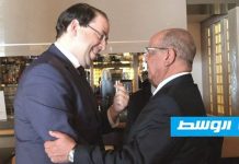 مساهل والشاهد يبحثان الأزمة الليبية