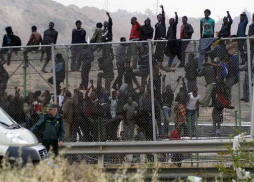 300 مهاجر يحاولون عبور سياج مليلية المحتلة مخلفين 12 جنديا جريحا في محاولة لمنعهم