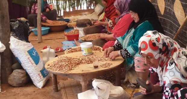 طنجة : ملتقى جهوي للتعاونيات الفلاحية النسوية