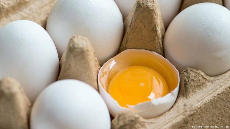 الأسواق المغربية تستقبل البيض الأوكراني