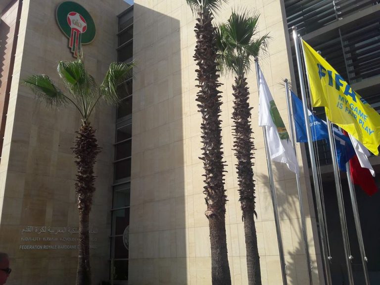 مباراة ودّية بين الأرجنتين والمغرب بمليون دولار