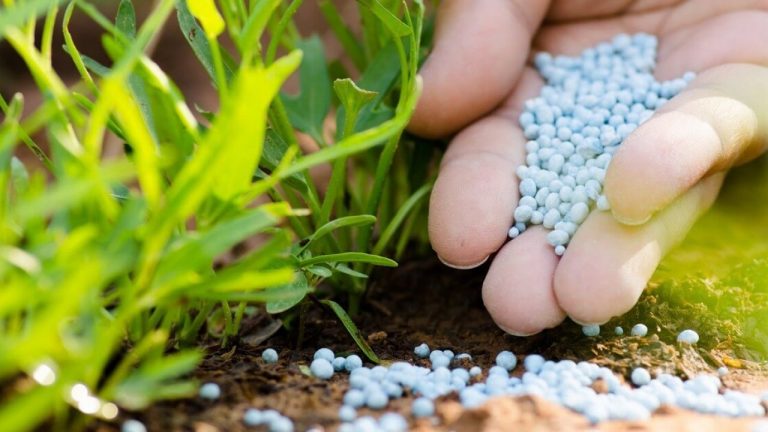 دعم استعمال المخصبات الزراعية: موضوع مؤتمر بمراكش