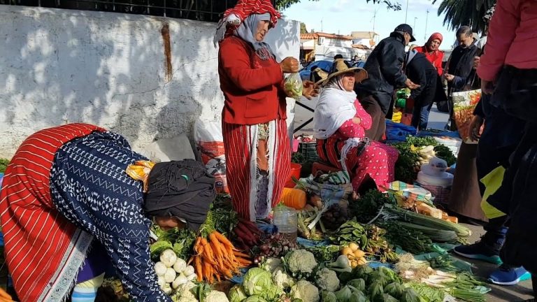 تباطؤ النمو بسبب تراجع النشاط الزراعي