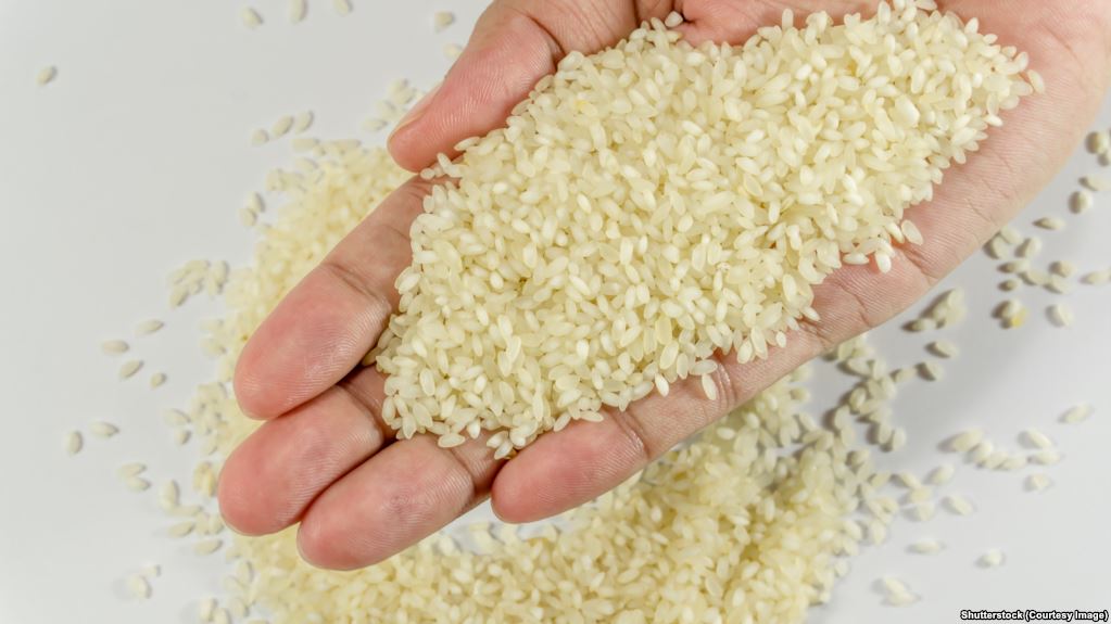 CD7269EC-C53C-40E4-894F-9501433B057B_w1023_r1_s