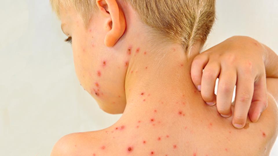 c56af9d5-f6de-49ff-9459-fa7c7285f10c_16x9_1200x676