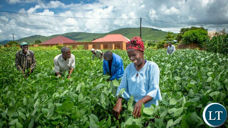 Private sector for complementing Government efforts in consolidating agriculture diversification amongst small-scale farmers Private sector for complementing Government efforts in consolidating agriculture diversification amongst small-scale farmers