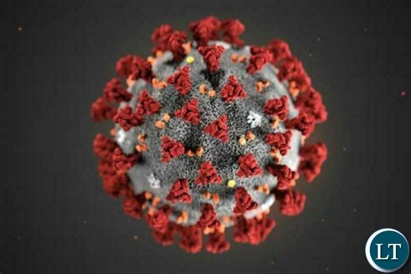 New Omicron variant is causing mild disease -South African Medical Research Council New Omicron variant is causing mild disease -South African Medical Research Council