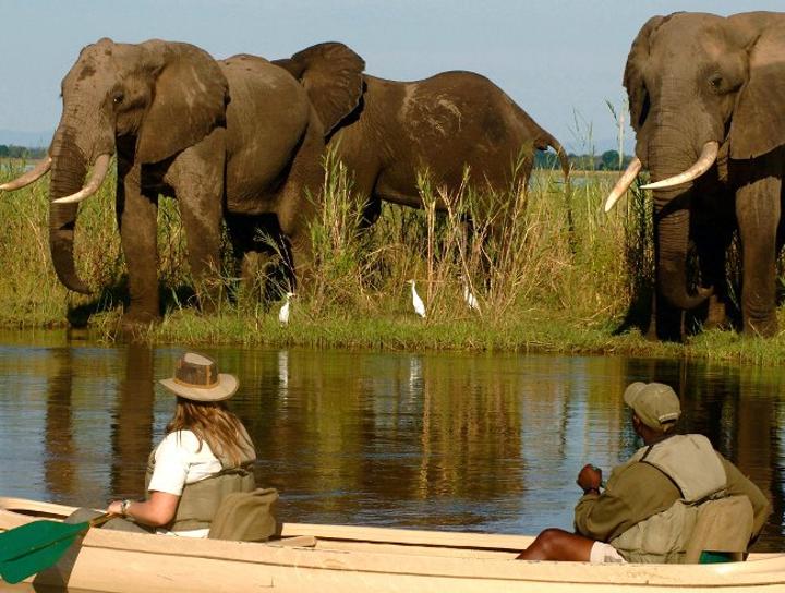 Tonga Chiefs Opposed Mining in Lower Zambezi National Park, Will They Oppose Lying HH? Tonga Chiefs Opposed Mining in Lower Zambezi National Park, Will They Oppose Lying HH?