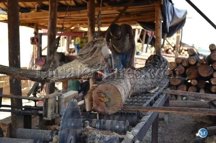 Previous governments issued timber concession licenses to cadres and foreigners, Nzovu told Previous governments issued timber concession licenses to cadres and foreigners, Nzovu told