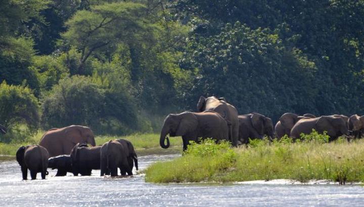 OXFAM calls for stopping all mining activity or strides in Lower Zambezi OXFAM calls for stopping all mining activity or strides in Lower Zambezi
