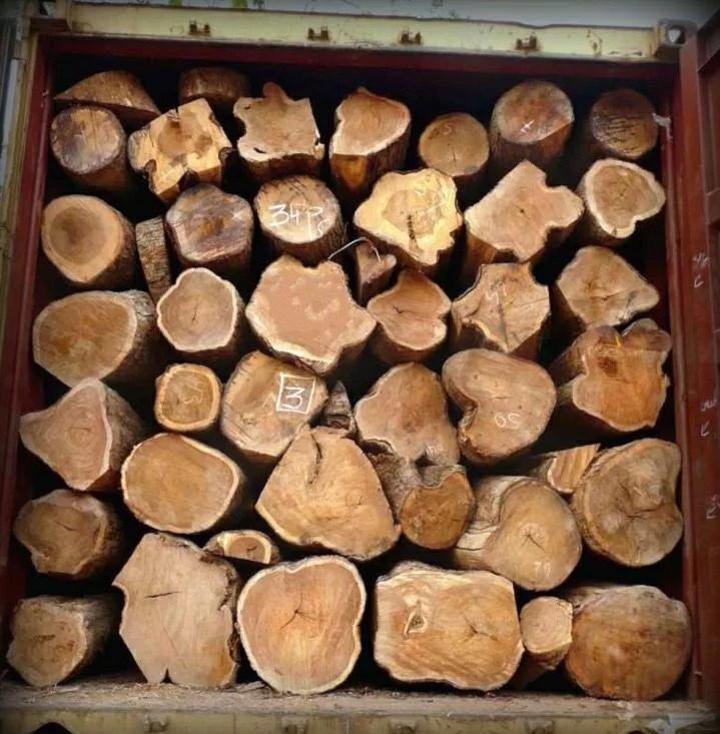 ACC ARRESTS A ZNS COLONEL OVER MUKULA LOGS ACC ARRESTS A ZNS COLONEL OVER MUKULA LOGS