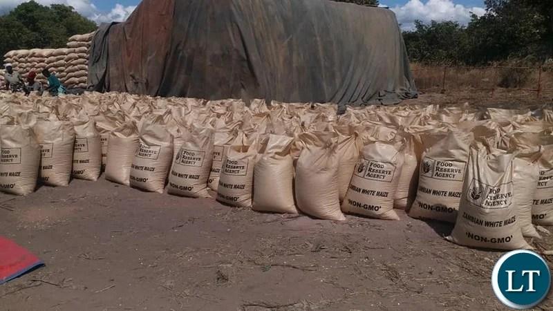Luapula projects bumper harvest Luapula projects bumper harvest