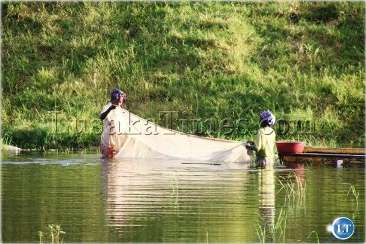 COMESA concerned with marginalisation of the fish industry COMESA concerned with marginalisation of the fish industry