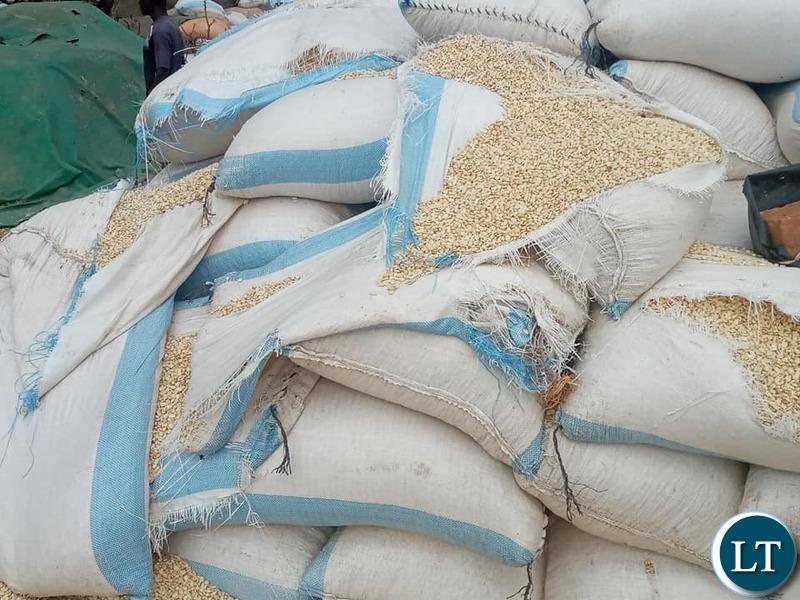 9 000 bags of maize wasted in Nakonde. Zambia